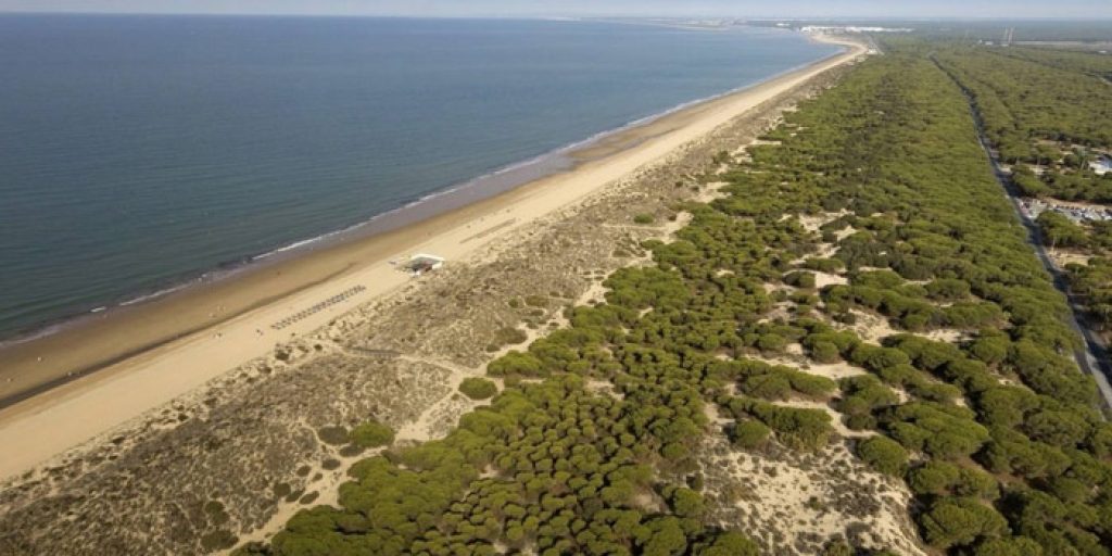 Vistas de la playa de Punta Umbría - foto de Barceló Hotels